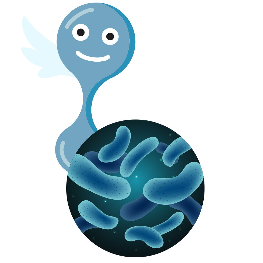 枯草芽孢桿菌(Bacillus subtilis)