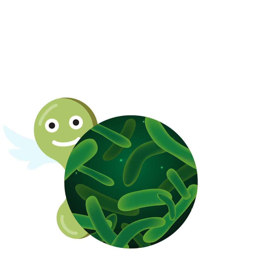 地衣芽孢桿菌(Bacillus licheniformis)